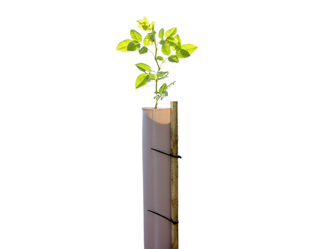 Vigilis Tube CF - biodégradable - 120 cm